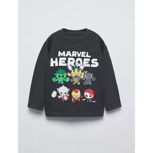 Zara x Marvel Hero’s Tee